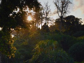 Die Nikobaren - Auferstehung eines Archipels
