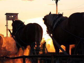Hokkaido - Japans wilder Norden