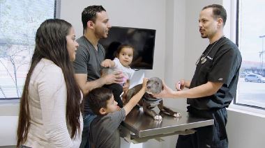 Die Tieraerzte von Houston