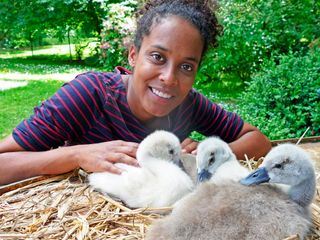 Pia und die wilden Tiere