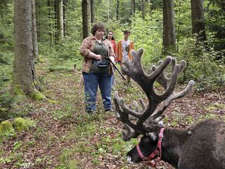 Tiere bis unters Dach