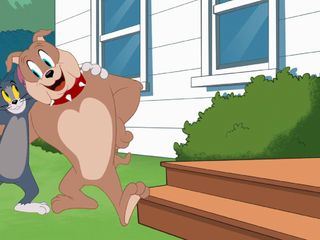 Die Tom und Jerry Show