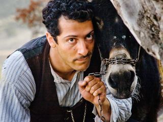 Almanya - Willkommen in Deutschland