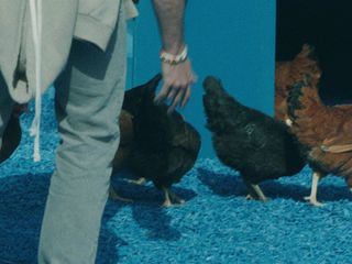 Werwoelfe - Das Spiel von List und Taeuschung