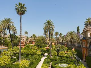 Der Zauber Andalusiens