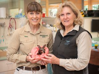 Die Irwins - Crocodile Hunter Family