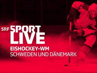 Eishockey - WM Vorrunde Gruppe B Maenner, Daenemark - USA