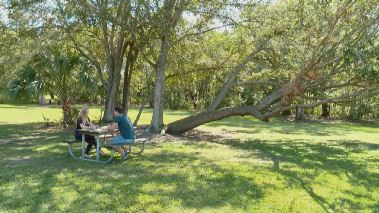 Dating ohne Grenzen: In 90 Tagen zum Altar