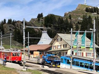 Die Rigi - Zum Gipfel auf zwei Bahnen
