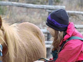 Die Yukon-Tieraerztin