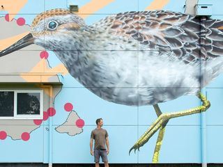 Australien: Wenn Kunst auf Silos trifft Australien: Wenn Kunst auf Silos trifft