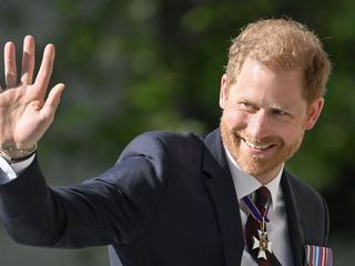 Harry - Schicksalsjahre eines Prinzen Harry - Schicksalsjahre eines Prinzen