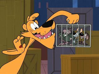 Die neue Looney Tunes Show Die neue Looney Tunes Show
