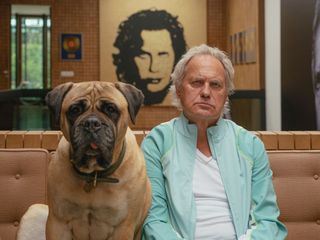 Die Ironie des Lebens