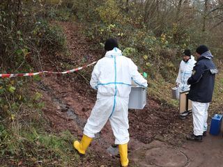 Forensik: Dem Moerder auf der Spur