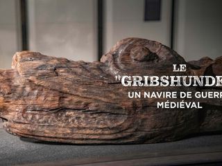 Der Stolz der daenischen Flotte