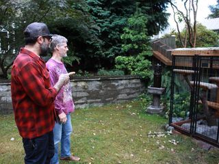 Pet Palace - Haustraeume fuer Haustiere