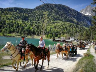 Verrueckt nach Camping