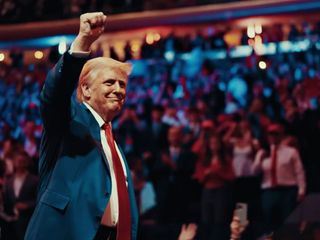 True Stories: Die Donald Trump Show