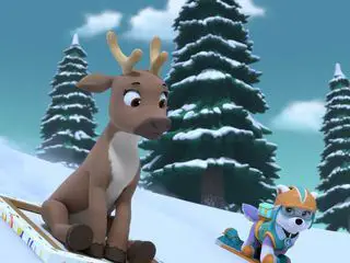 PAW Patrol - Helfer auf vier Pfoten