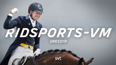 Ridsport: VM