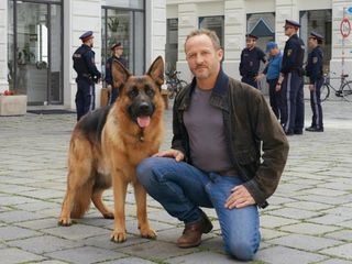 Kommissar Rex: Tod im Rampenlicht