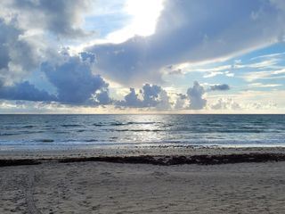 Haie auf Angriff - Den Jaegern auf der Spur