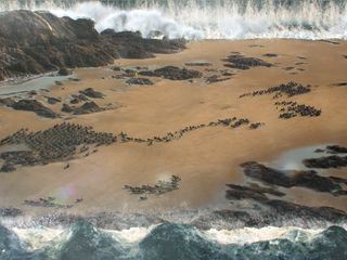 Geheimnisse der Bibel mit Albert Lin