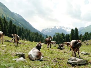 Faszination Österreich - Tirol