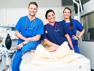 Tieraerztin 24/7 II