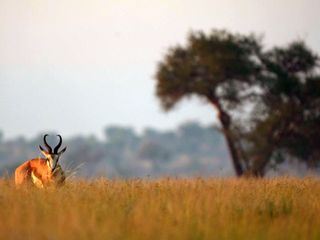 Stadt Land Kunst Stadt Land Kunst