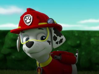 PAW Patrol - Helfer auf vier Pfoten PAW Patrol - Helfer auf vier Pfoten