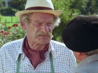 Ein Fall fuer Maenndli