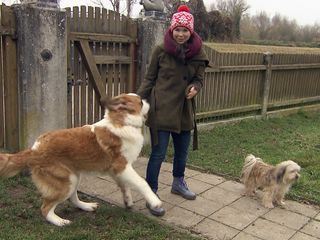 Anna und die Haustiere