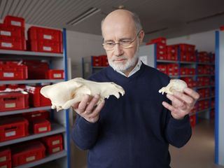 Terra X Harald Lesch