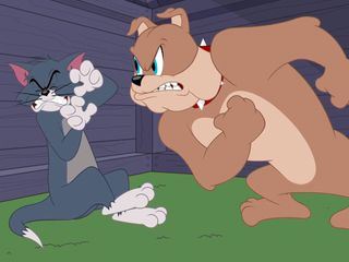 Die Tom und Jerry Show