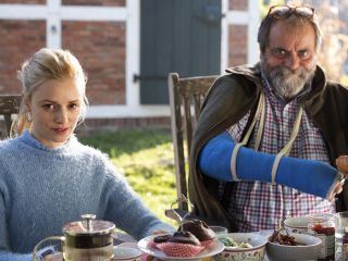 Viele Kuehe und ein schwarzes Schaf