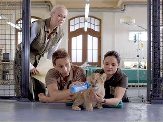 Tieraerztin Dr. Mertens Tieraerztin Dr. Mertens