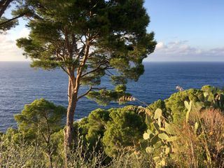 Ein Habsburger auf Mallorca - Ludwig Salvator und der Zauber des Meeres