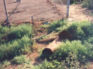 Bloodline Detectives - Die DNA der Taeter