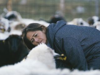 Montenegro - Die Schaeferin und der Wind des Fortschritts