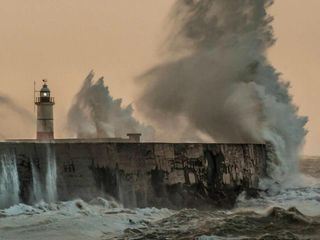 Discovered by disaster