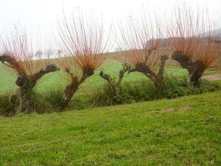 Traditionsreiches Österreich