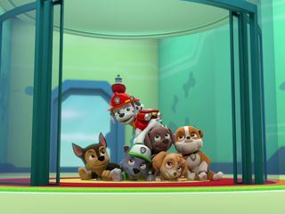 Paw Patrol: Helfer auf vier Pfoten