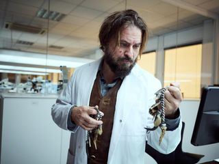 Bis auf den Knochen. Ein Krimi aus Passau: Bis auf die Knochen