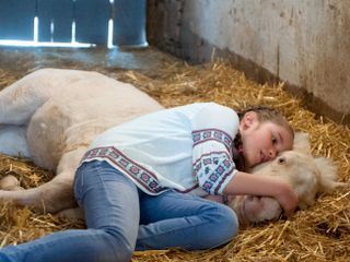 Tiere bis unters Dach