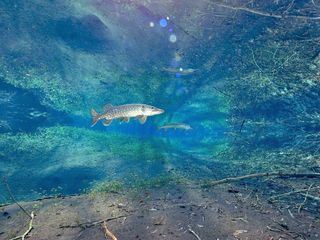 Lebensquelle Grundwasser