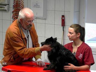 Hautnah: Die Tierklinik Hautnah: Die Tierklinik