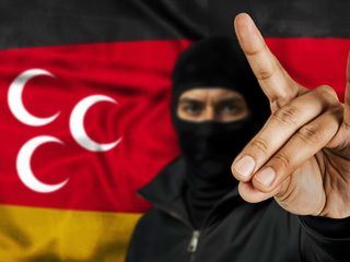 Im Visier der grauen Woelfe