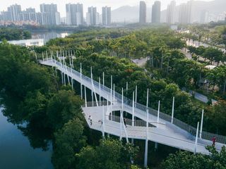 Die Stadt vor Fluten schuetzen - Das Schwammstadt-Prinzip gegen Starkregen und Trockenheit